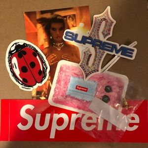 Supreme Stickers and Ladybug 🐞 Pin